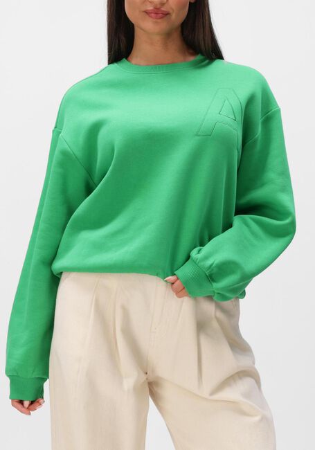 Groene ALIX THE LABEL Sweater LADIES KNITTED EMBROIDERED A SWEATER - large