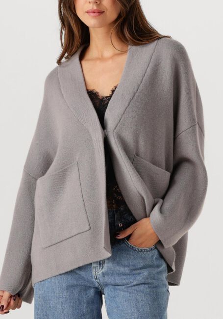 Grijze FFC Trui 14062 - large