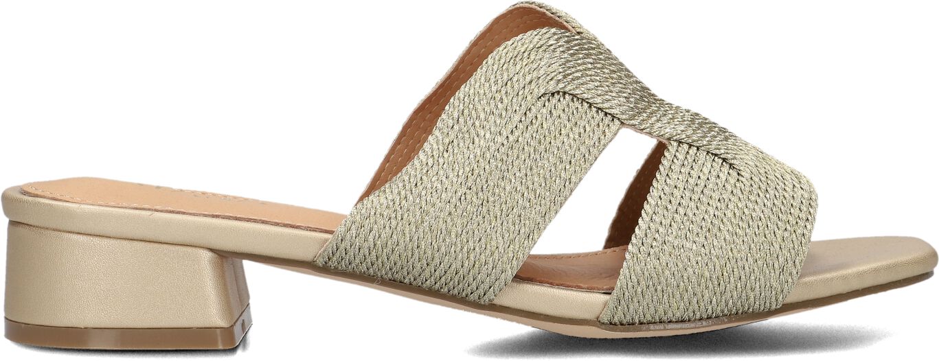 Ayana Slippers
Dames 0325-8, Maat: 41, Materiaal: Textiel, Kleur: Goud