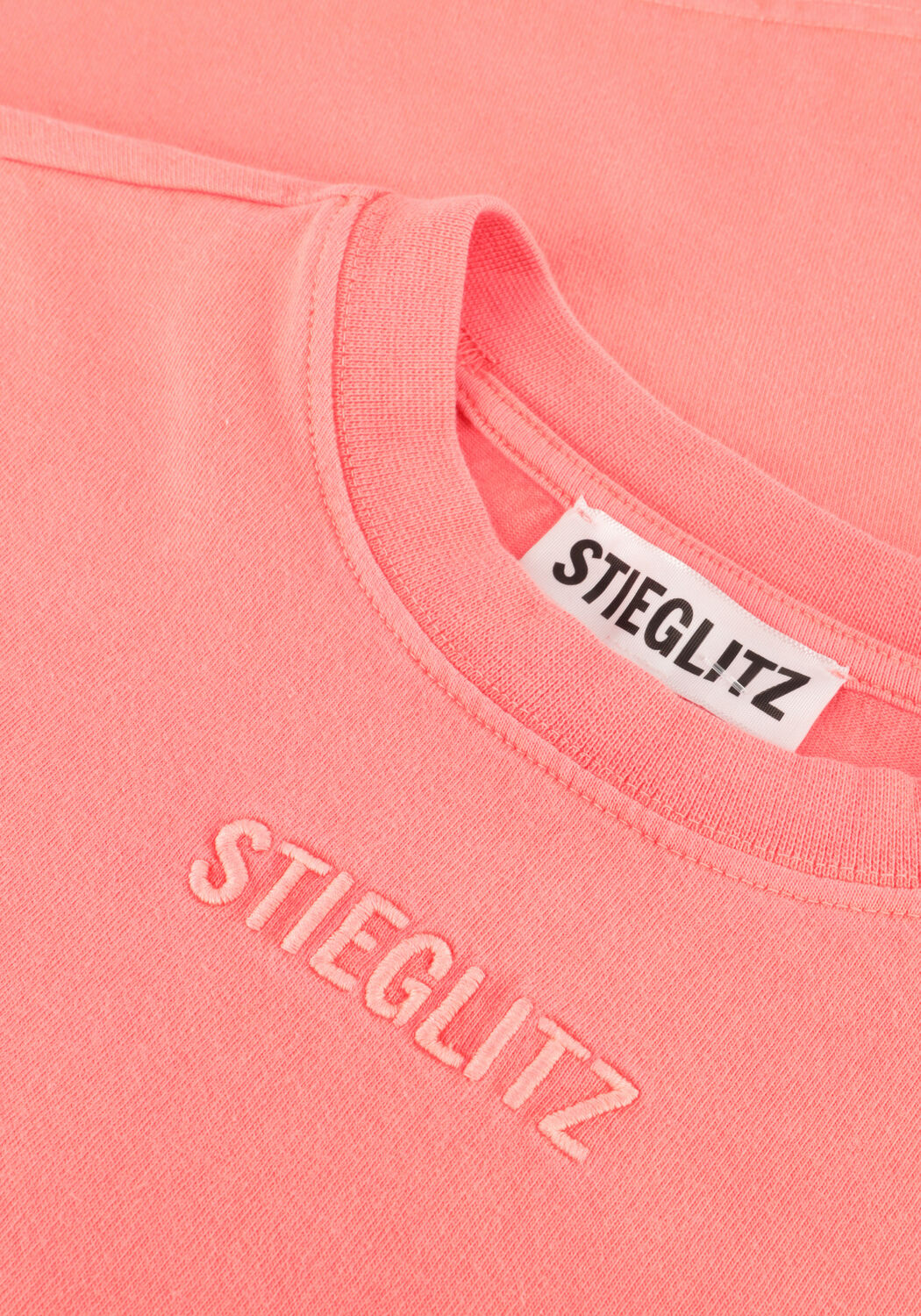 Roze STIEGLITZ Top BASIC SKATE LONGSLEEVE - large