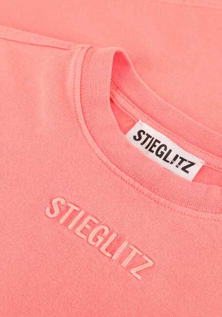 Roze STIEGLITZ Top BASIC SKATE LONGSLEEVE - large
