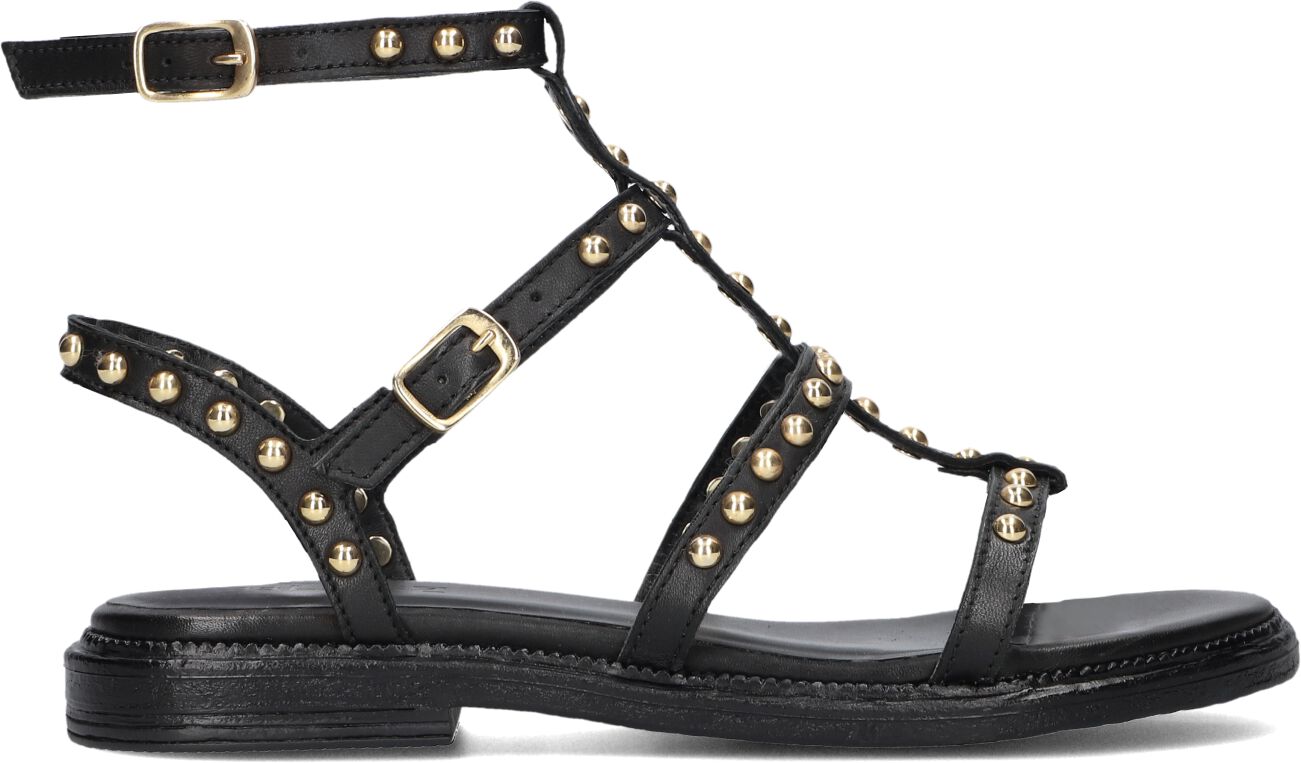 Blasz Sandalen
Dames 1gamba100, Maat: 40, Materiaal: Leer, Kleur: Zwart