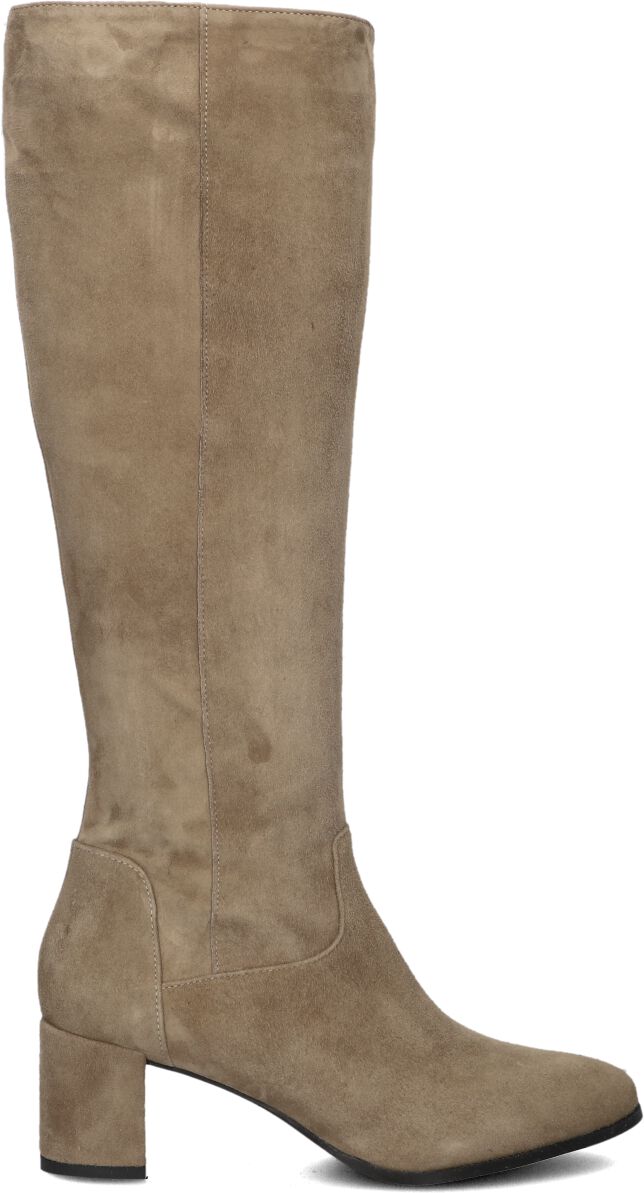 Lina Locchi Hoge Laarzen Dames 8591, Maat: 38, Materiaal: Suède, Kleur: Taupe