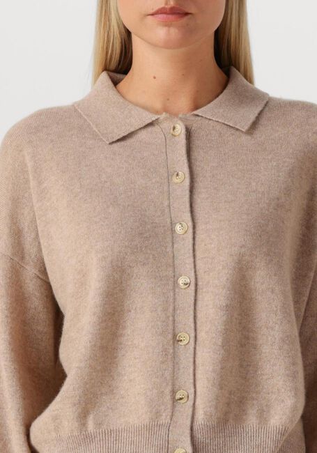 Bruine ABSOLUT CASHMERE Vest MAJURA - large