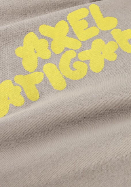 Grijze AXEL ARIGATO Truien/vesten BUBBLE T SHIRT - large