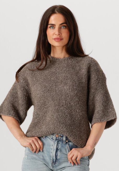 Taupe AMERICAN VINTAGE Trui ZOLLY - large