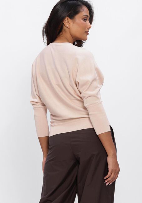 Roze NATAN Trui PULL - large