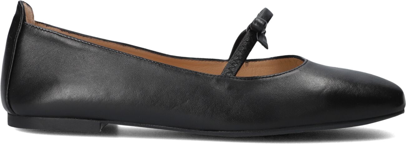 Unisa Ballerina
Dames Betar, Maat: 35, Materiaal: Leer, Kleur: Zwart afbeelding 1