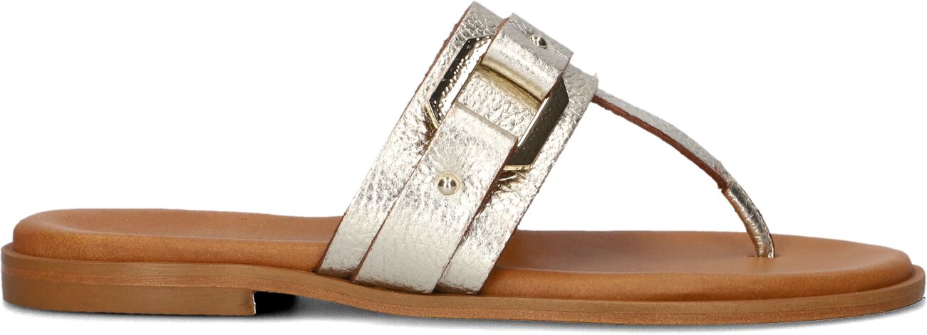 Stefano Lauran Teenslippers Dames Met Teenslipper, Maat: 42, Materiaal: Leer, Kleur: Goud