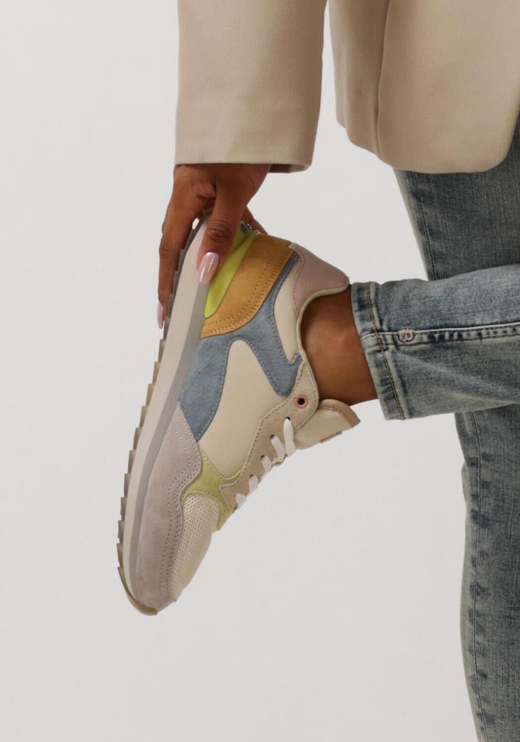 Multi THE HOFF BRAND Lage sneakers CABO SAN LUCAS CITY - large