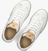 Witte FRED DE LA BRETONIERE Lage sneakers PEARL RAFFI Witte FRED DE LA BRETONIERE Lage sneakers PEARL RAFFI - medium