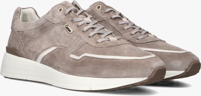 Taupe GREVE Lage sneakers WALKER H Taupe GREVE Lage sneakers WALKER H - large