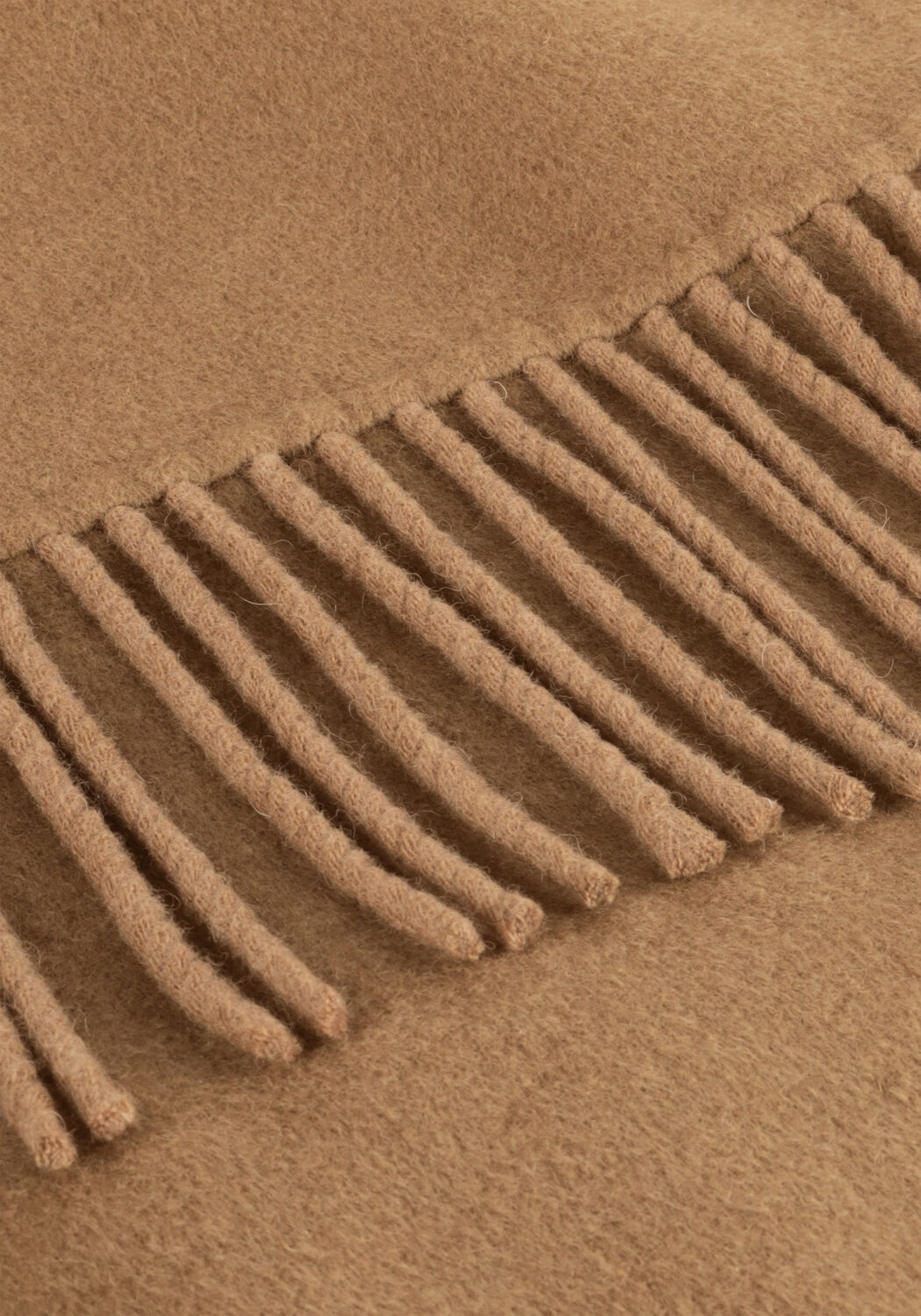 Camel ALTER EGO Jack BILLIE - large