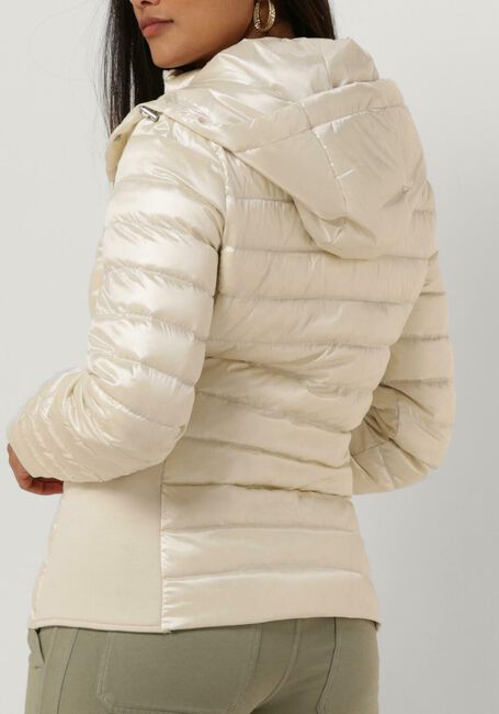 Witte BEAUMONT Jack DEVI - large