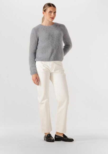 Lichtgrijze DES PETITS HAUTS Trui CHOUKY - large