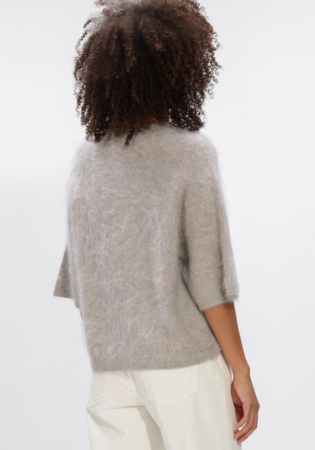 Grijze ABSOLUT CASHMERE Trui JENNA - large