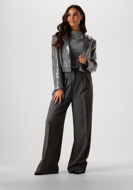 Grijze AAIKO Blazer MILLE SEQUINS PES 356 - large