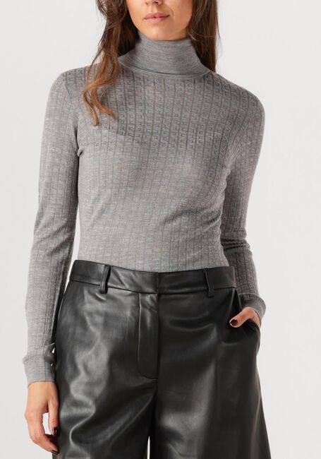 Lichtgrijze ELISABETTA FRANCHI Trui KNITTED SWEATER - large