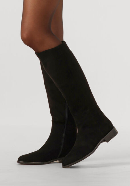 NOTRE-V 3496 - large