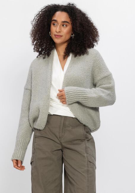 Grijze KNIT-TED Vest BECKY - large