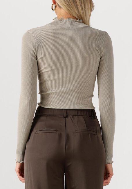 Zand ROSEMUNDE Top BOSTON TURTLENECK W/ LUREX - large