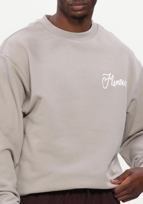 Grijze FLANEUR Sweater CITY AIRBRUSH SWEATER - large