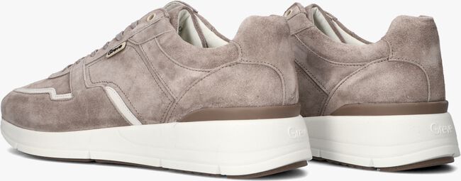 Taupe GREVE Lage sneakers WALKER H Taupe GREVE Lage sneakers WALKER H - large