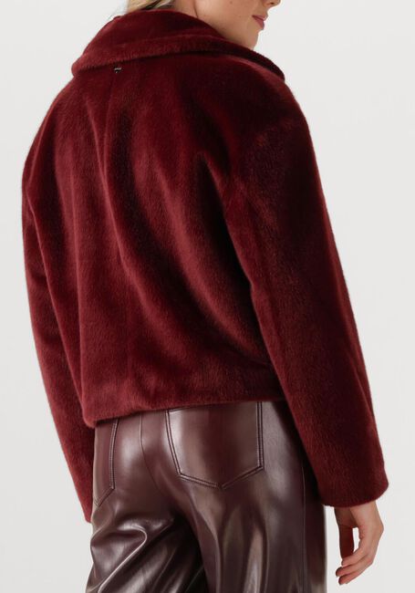 Bordeaux MARC CAIN COLLECTION Jack ZC 12.13 W42 - large
