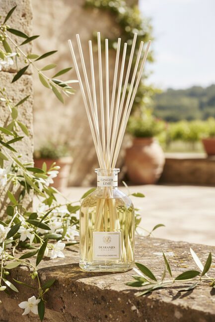 Kleur n.v.t. DR. VRANJES FIRENZE Huisgeuren GINGER LIME DIFFUSER 250ML - large