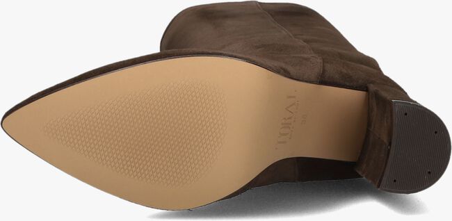 TORAL 12591 TORAL 12591 - large
