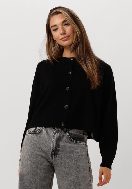 Zwarte VANESSA BRUNO Truien/vesten DOUVE - large