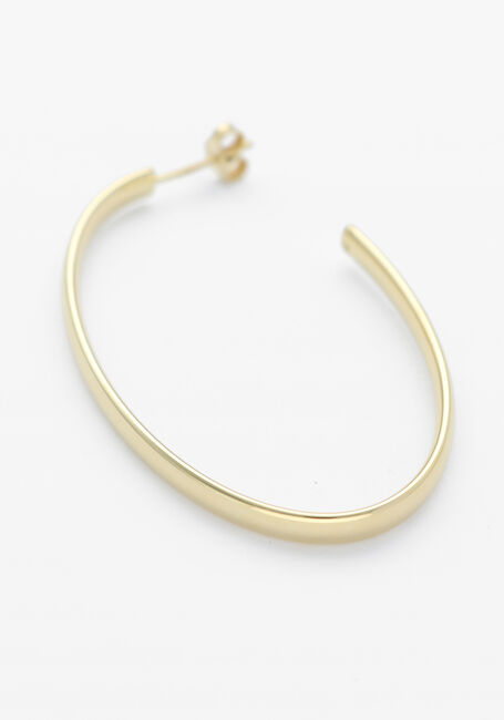 Multi LOTT. GIOIELLI Sieraad CL EARRING CREOLE OVAL - large