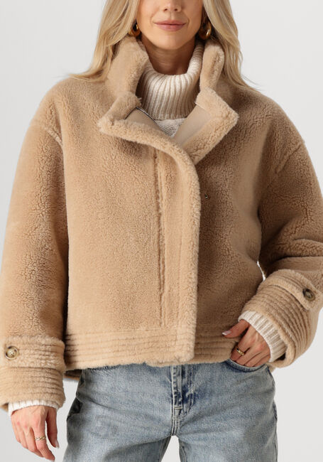 Camel IBANA Jack CHRIS - large