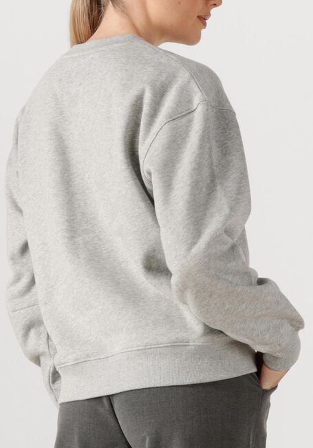 Grijze JANICE Sweater ANDY - large