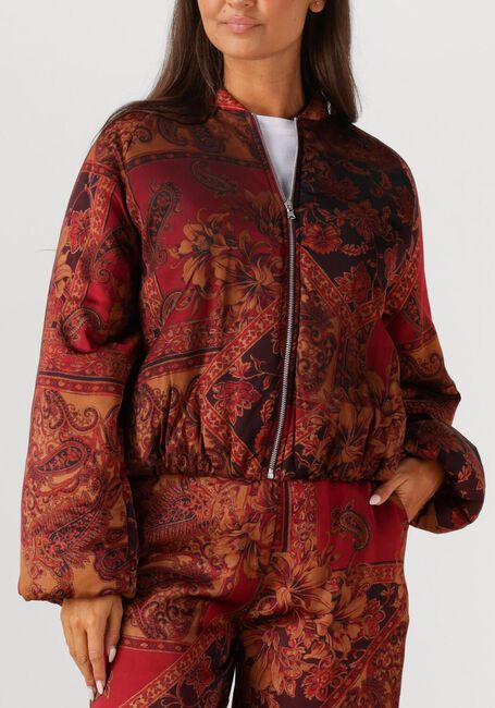 Multi AMAYA AMSTERDAM Jack FAITH - large