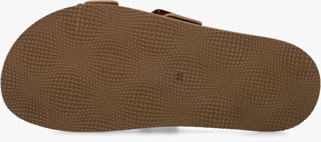 Cognac LINA LOCCHI Slippers SUE 2 GESP SLIPPER Cognac LINA LOCCHI Slippers SUE 2 GESP SLIPPER - large