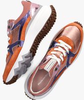 Oranje FLORIS VAN BOMMEL Lage sneakers SFW-10111 - medium