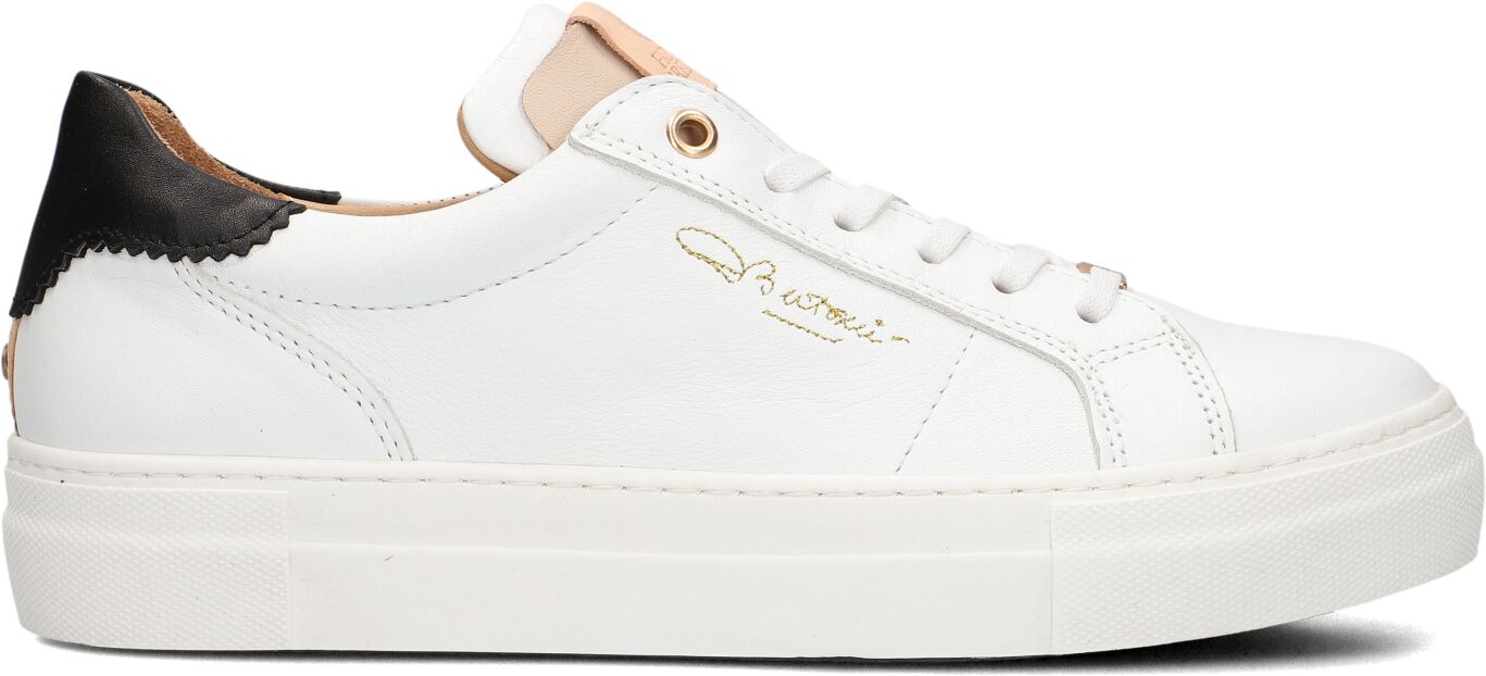 Fred de la Bretoniere,  Storm Isa