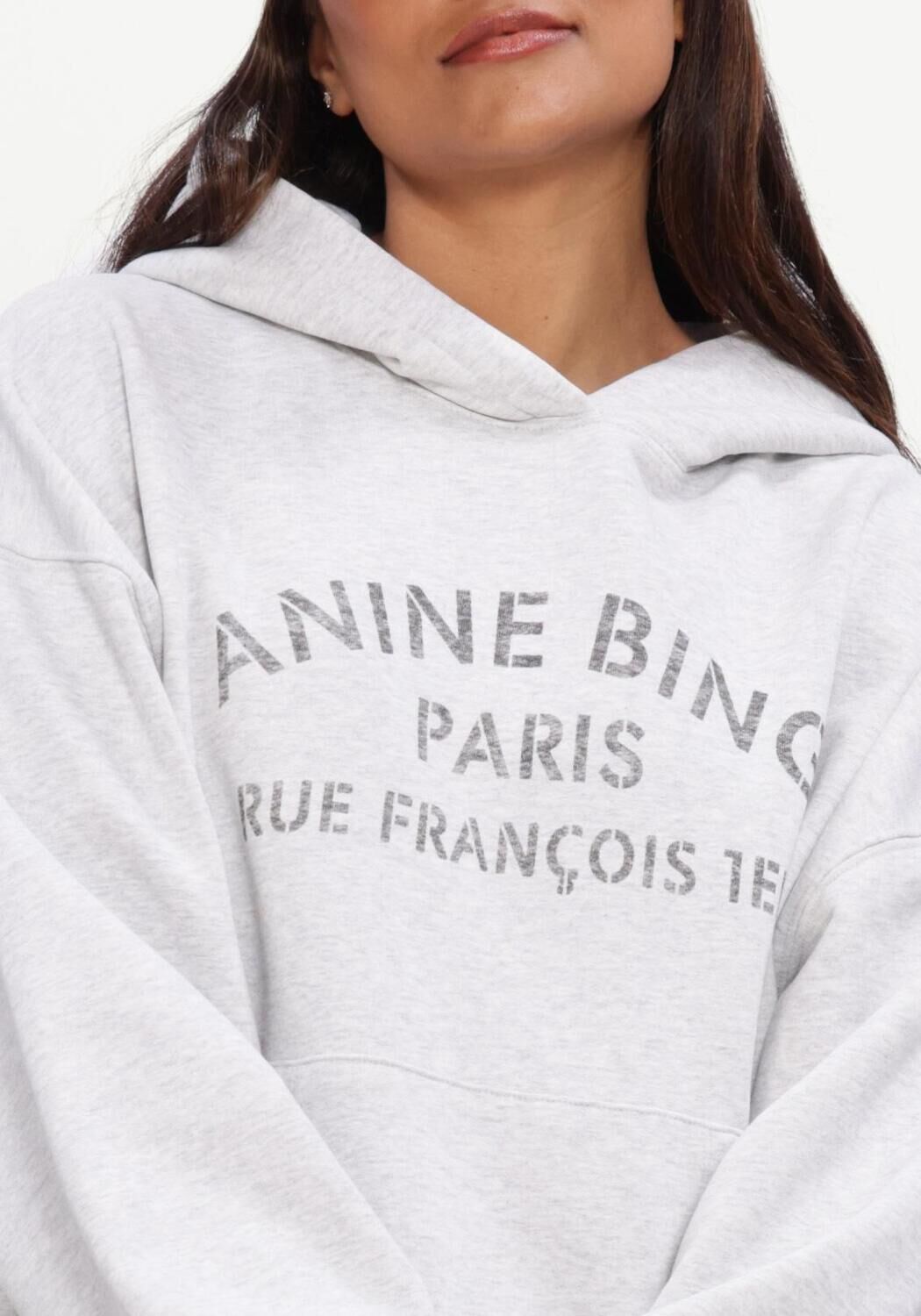 Lichtgrijze ANINE BING Sweater HARVEY SWEATSHIRT PARIS STENCIL - large