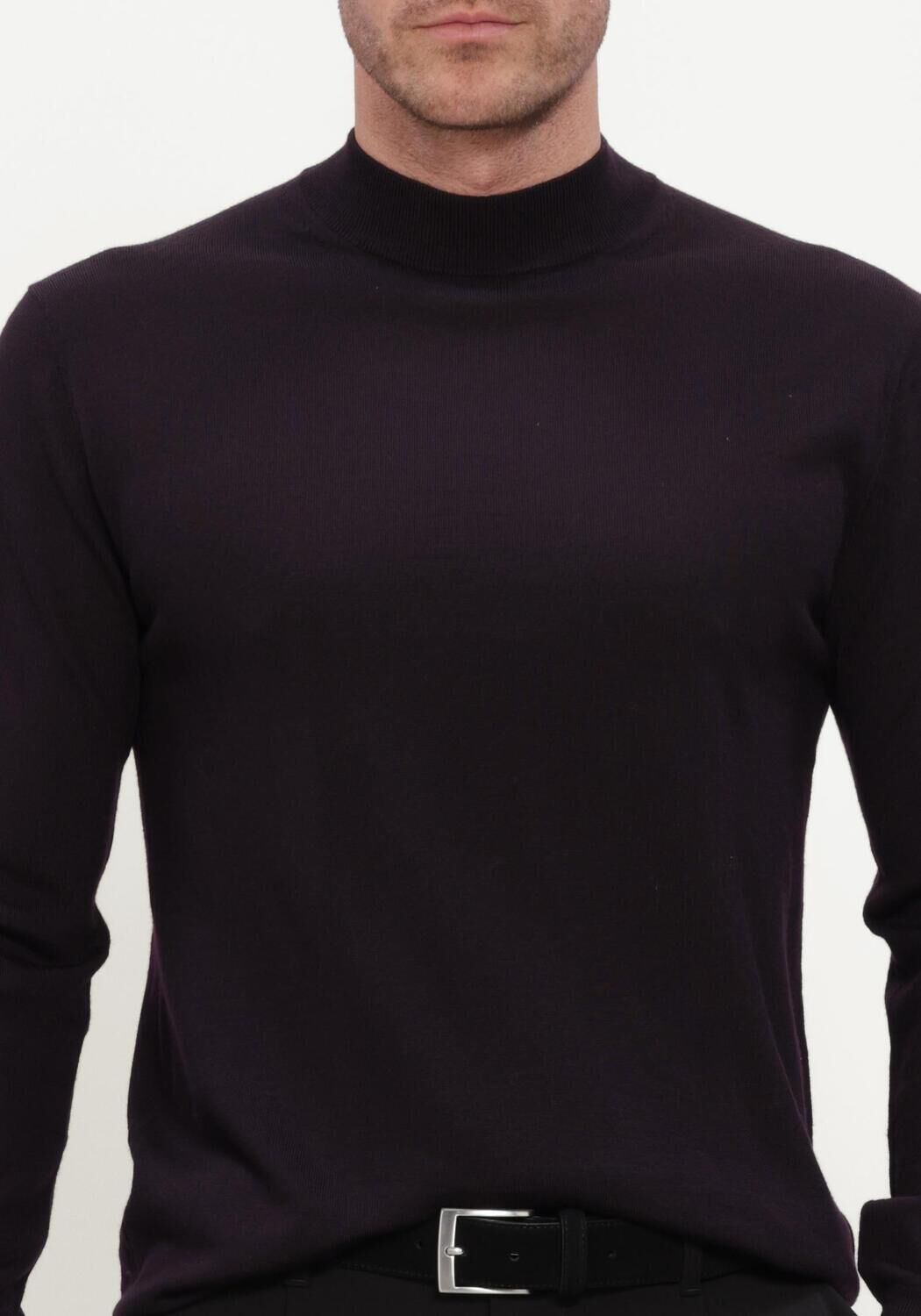 Bordeaux STEFANO LAURAN Trui TURTLE NECK MERINO - large