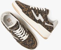 Bruine VIA VAI Lage sneakers SAM LEVI Bruine VIA VAI Lage sneakers SAM LEVI - medium