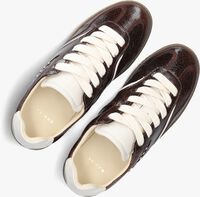 Bruine NUBIKK Lage sneakers RAY OWEN STUDS Bruine NUBIKK Lage sneakers RAY OWEN STUDS - medium