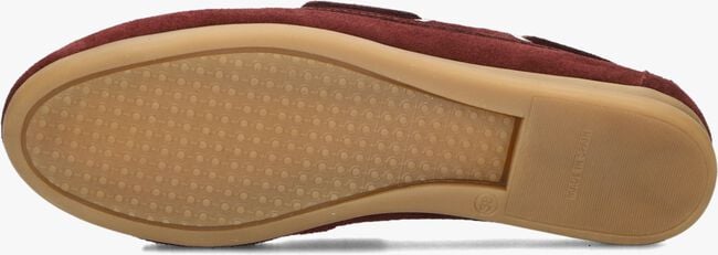 TORAL SHIMA TORAL SHIMA - large