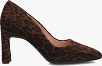 Bruine UNISA Hakken WABA Bruine UNISA Hakken WABA - medium