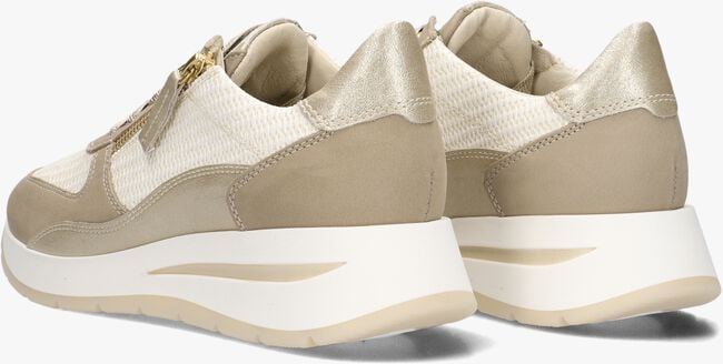 DL SPORT 6551 DL SPORT 6551 - large