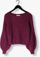 AMAYA AMSTERDAM ACE AMAYA AMSTERDAM ACE - medium