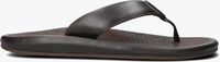 Bruine OLUKAI Teenslippers ILIKAI Bruine OLUKAI Teenslippers ILIKAI - medium