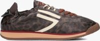 Bruine PURAAI Lage sneakers 6.02 PANTHER Bruine PURAAI Lage sneakers 6.02 PANTHER - medium