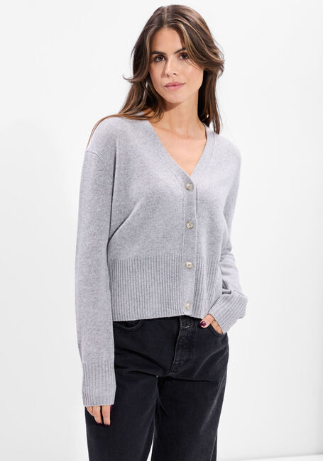 Lichtgrijze CLOSED Trui V NECK CARDIGAN - large