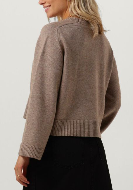 Beige CO'COUTURE Trui MAJA CROP O KNIT - large